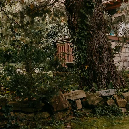 Przy Parku Apartament *