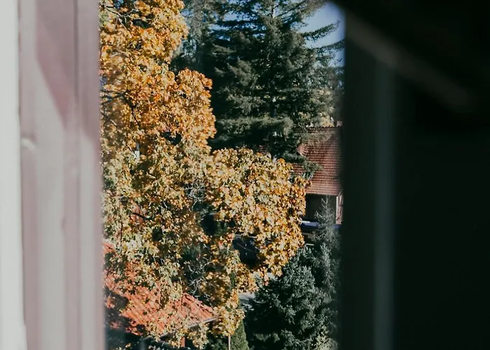 Przy Parku Apartment